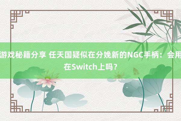 游戏秘籍分享 任天国疑似在分娩新的NGC手柄：会用在Switch上吗？