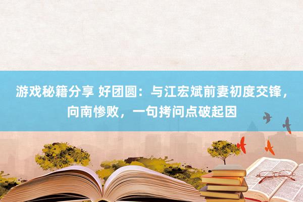 游戏秘籍分享 好团圆：与江宏斌前妻初度交锋，向南惨败，一句拷问点破起因