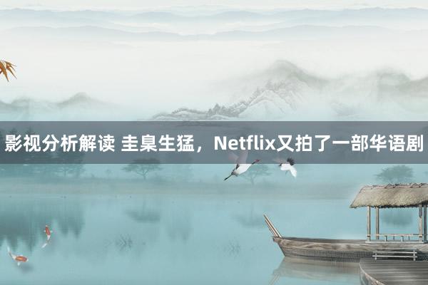 影视分析解读 圭臬生猛，Netflix又拍了一部华语剧