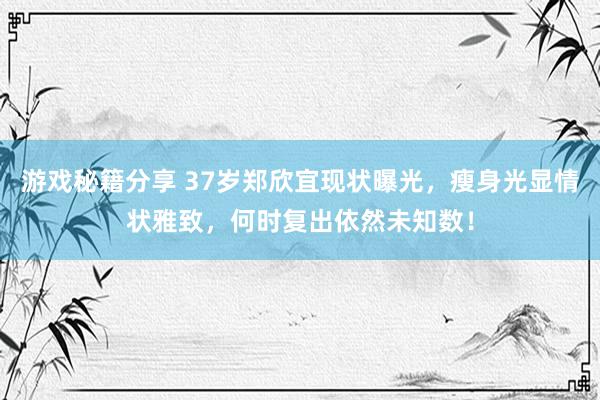 游戏秘籍分享 37岁郑欣宜现状曝光，瘦身光显情状雅致，何时复出依然未知数！