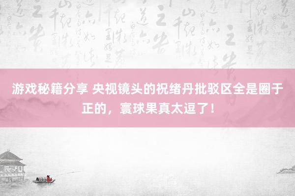 游戏秘籍分享 央视镜头的祝绪丹批驳区全是圈于正的，寰球果真太逗了！