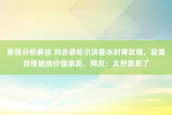 影视分析解读 刘亦菲哈尔滨看冰封黄玫瑰，寂寞穿搭被指价值崇高，网友：太好意思了