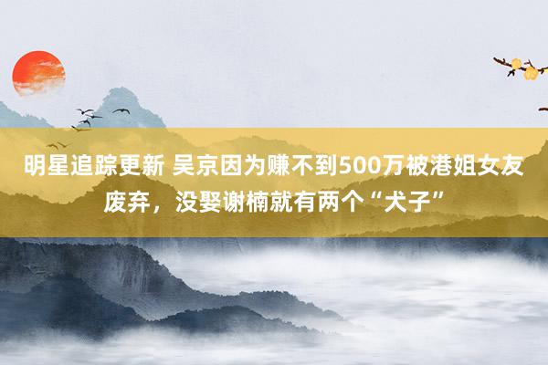 明星追踪更新 吴京因为赚不到500万被港姐女友废弃，没娶谢楠就有两个“犬子”