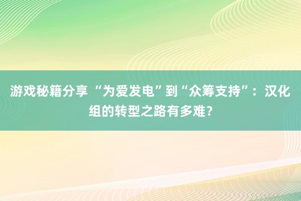 游戏秘籍分享 “为爱发电”到“众筹支持”：汉化组的转型之路有多难？