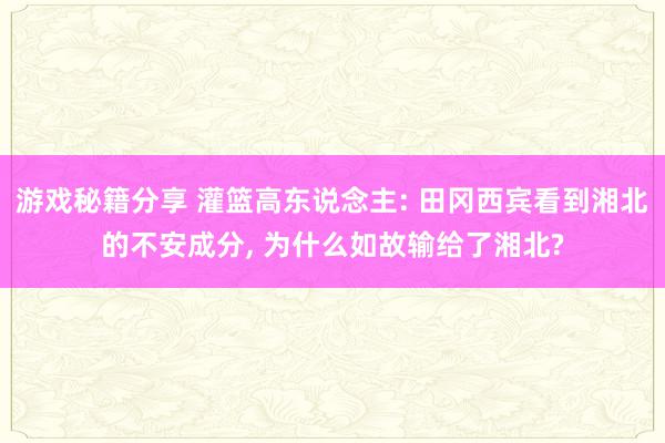 游戏秘籍分享 灌篮高东说念主: 田冈西宾看到湘北的不安成分, 为什么如故输给了湘北?