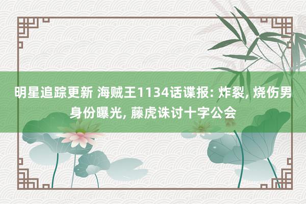 明星追踪更新 海贼王1134话谍报: 炸裂, 烧伤男身份曝光, 藤虎诛讨十字公会