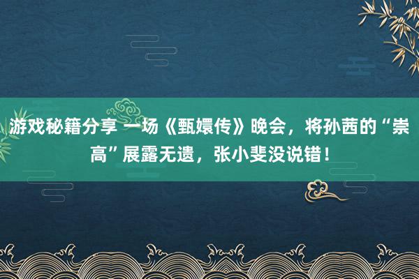 游戏秘籍分享 一场《甄嬛传》晚会，将孙茜的“崇高”展露无遗，张小斐没说错！