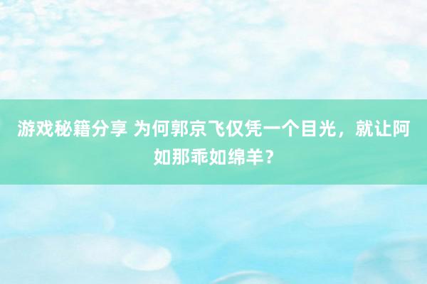 游戏秘籍分享 为何郭京飞仅凭一个目光，就让阿如那乖如绵羊？