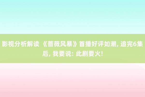 影视分析解读 《蔷薇风暴》首播好评如潮, 追完6集后, 我要说: 此剧要火!