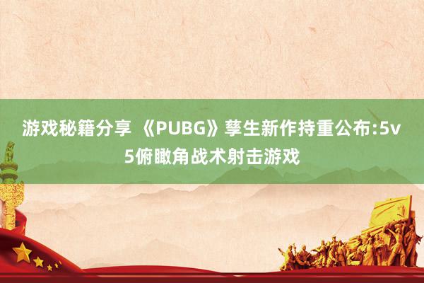 游戏秘籍分享 《PUBG》孳生新作持重公布:5v5俯瞰角战术射击游戏