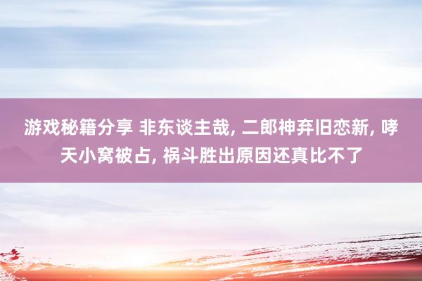 游戏秘籍分享 非东谈主哉, 二郎神弃旧恋新, 哮天小窝被占, 祸斗胜出原因还真比不了